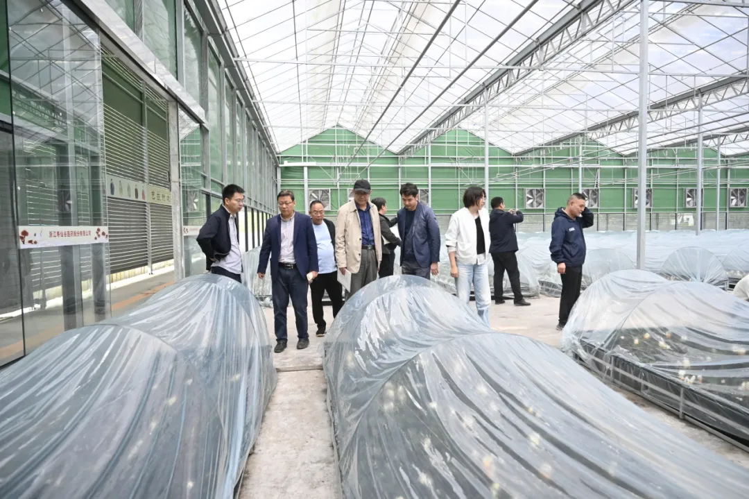 浙江AG刮刮乐医药股份有限公司