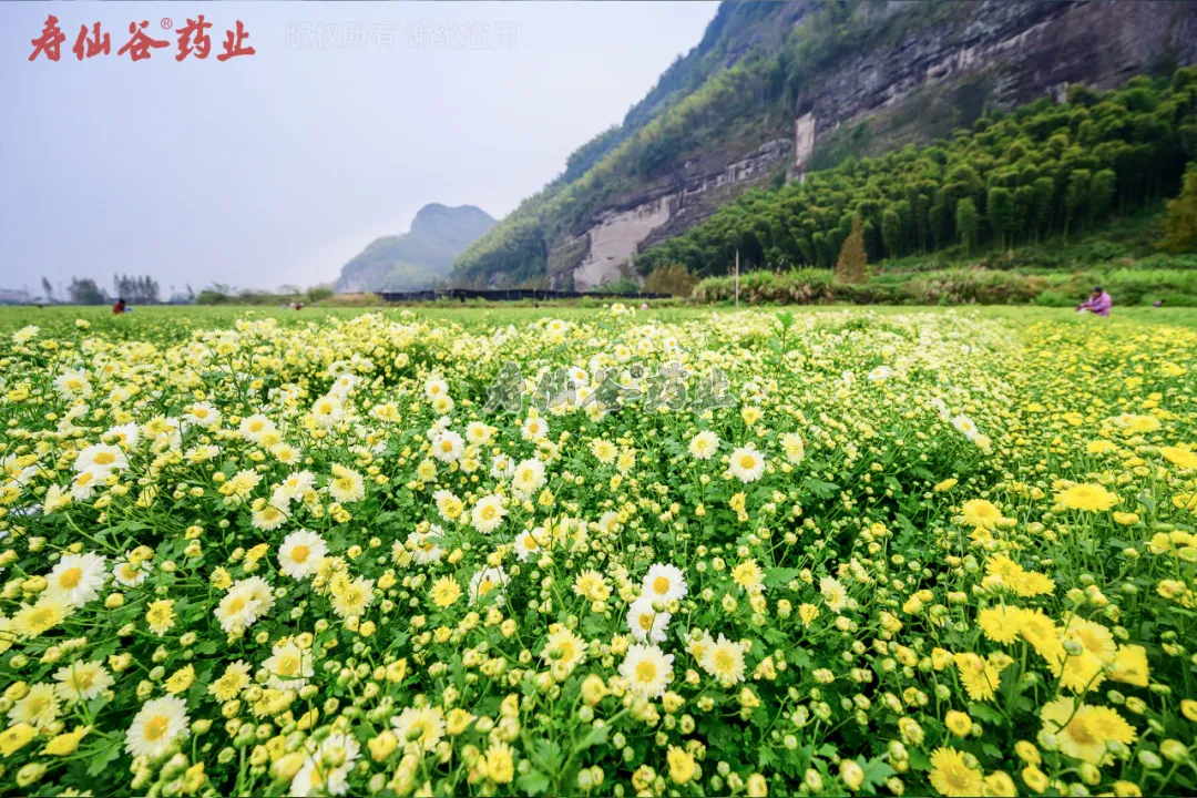 浙江AG刮刮乐医药股份有限公司